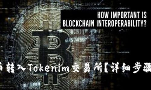 如何将FIL币转入Tokenim交易所？详细步骤和注意事项