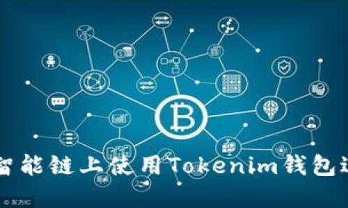 如何在币安智能链上使用Tokenim钱包进行安全交易