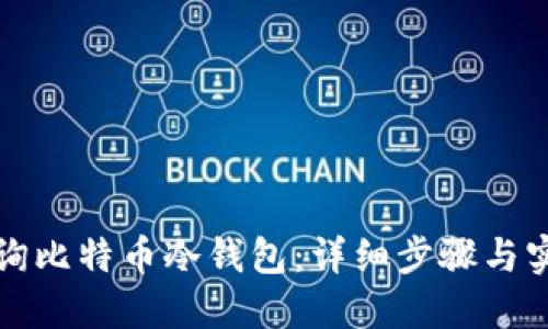 如何查询比特币冷钱包：详细步骤与实用技巧