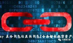 BitKeep 是冷钱包还是热钱包