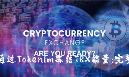 如何通过Tokenim冻结TRX能量：完整指南