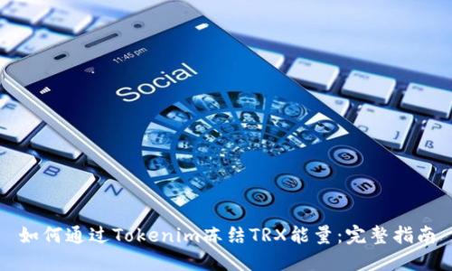 如何通过Tokenim冻结TRX能量：完整指南