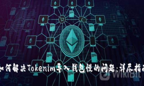 如何解决Tokenim导入钱包慢的问题：详尽指南