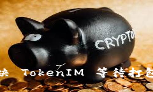 如何解决 TokenIM 等待打包的问题