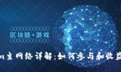Tokenim主网络详解：如何参