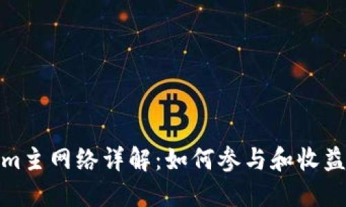 Tokenim主网络详解：如何参与和收益最大化