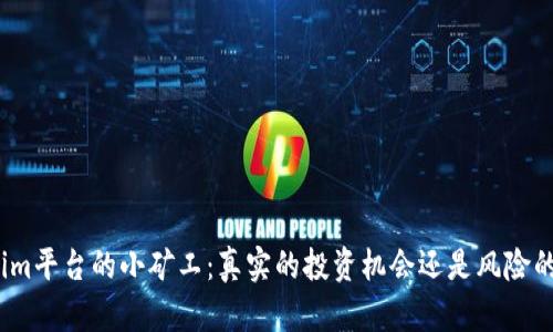 Tokenim平台的小矿工：真实的投资机会还是风险的陷阱？