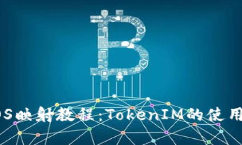 全面解析EOS映射教程：TokenIM的使用与源码分析