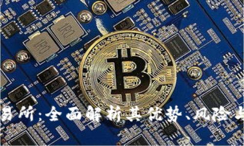 中本聪交易所：全面解析其优势、风险与市场表现