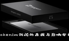 Tokenim倒闭的原因与影响分