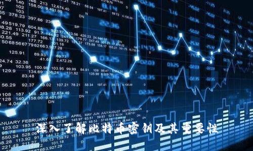 深入了解比特币密钥及其重要性