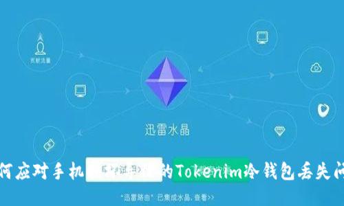 如何应对手机损坏导致的Tokenim冷钱包丢失问题