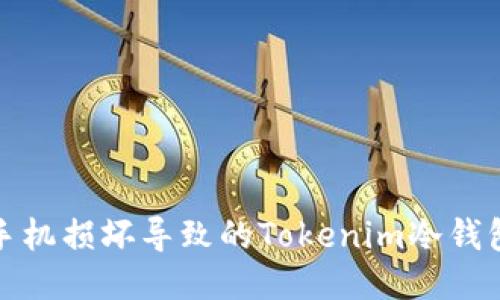 如何应对手机损坏导致的Tokenim冷钱包丢失问题