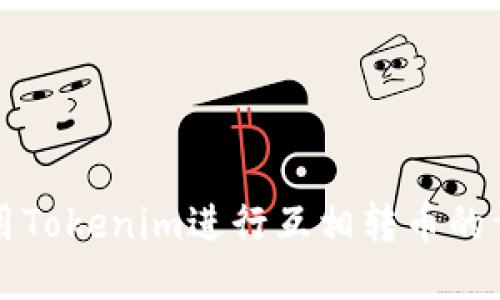 如何使用Tokenim进行互相转币的详细指南