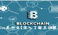 tokenim是什么？深入了解其