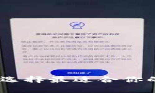 数字钱包官方：如何选择最适合你的数字支付解决方案