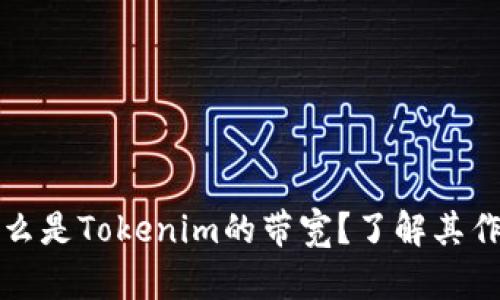 ### 什么是Tokenim的带宽？了解其作用与意义