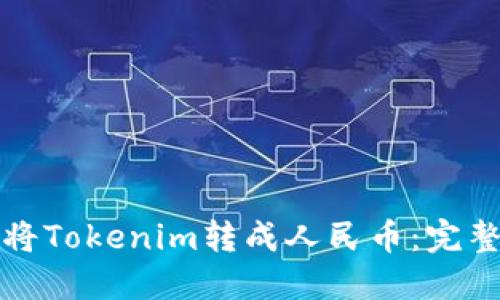 如何将Tokenim转成人民币：完整指南