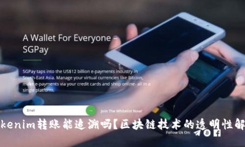 Tokenim转账能追溯吗？区块链技术的透明性解析