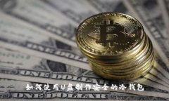 如何使用U盘制作安全的冷