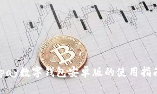 全面解析：Topay数字钱包安卓版的使用指南与功能探讨
