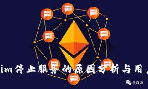 Tokenim停止服务的原因分析与用户影响