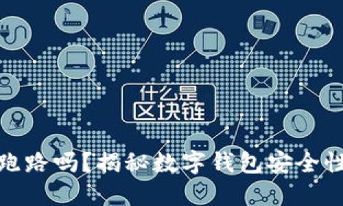 数字钱包会跑路吗？揭秘数字钱包安全性与风险评估