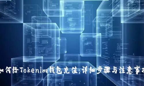 如何给Tokenim钱包充值：详细步骤与注意事项