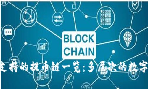 Tokenim支持的提币链一览：多层次的数字资产管理
