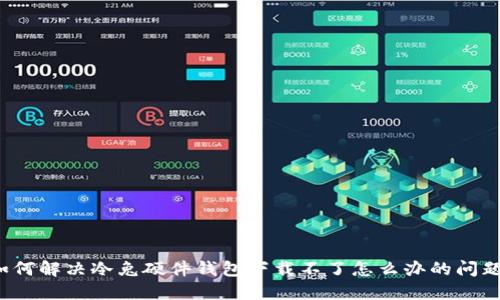 如何解决冷兔硬件钱包下载不了怎么办的问题？