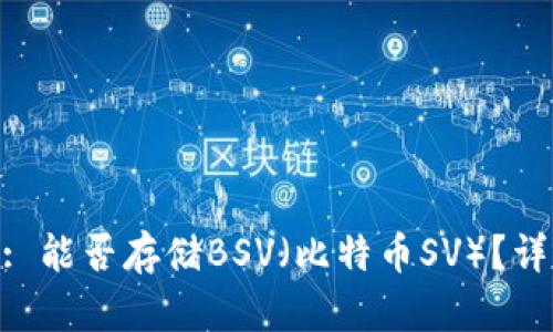 Tokenim: 能否存储BSV（比特币SV）？详解与分析