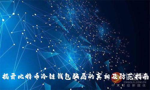 揭开比特币冷链钱包骗局的真相及防范指南