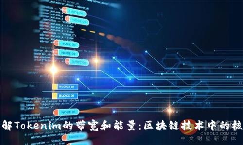 深入理解Tokenim的带宽和能量：区块链技术中的核心概念