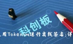 如何使用Tokenim进行离线签