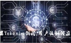 如果Tokenim倒闭，用户该如