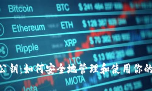 Tokenim公钥：如何安全地管理和使用你的加密资产