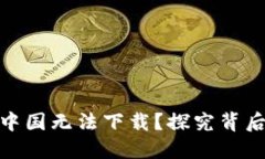 为什么Tokenim在中国无法下
