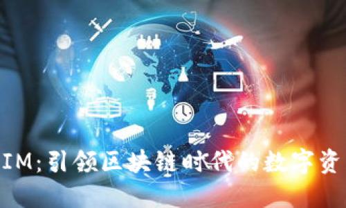 郑州TokenIM：引领区块链时代的数字资产管理平台