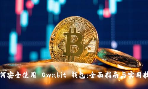 如何安全使用 Ownbit 钱包：全面指南与实用技巧