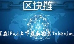 如何在iPad上下载和安装