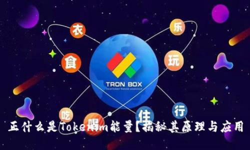 正什么是Tokenim能量？揭秘其原理与应用