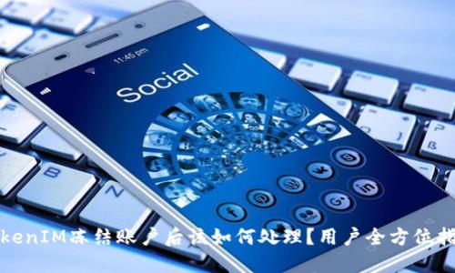 TokenIM冻结账户后该如何处理？用户全方位指南
