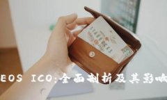 EOS ICO：全面剖析及其影响