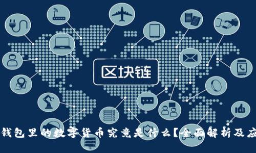 冷钱包里的数字货币究竟是什么？全面解析及应用