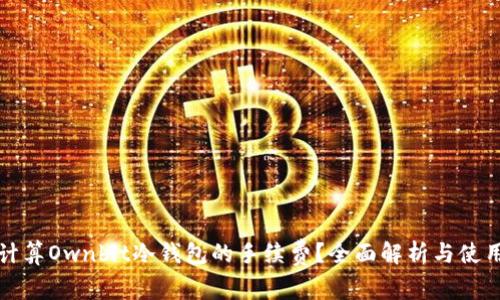如何计算Ownbit冷钱包的手续费？全面解析与使用技巧