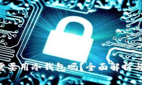 卖U需要用冷钱包吗？全面解析与推荐