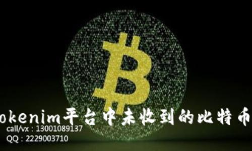 如何处理Tokenim平台中未收到的比特币（BTC）问题