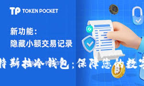 深入了解特斯拉冷钱包：保障您的数字资产安全