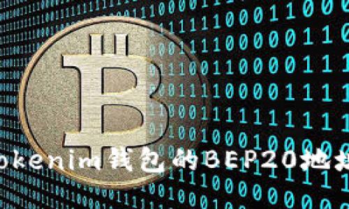 如何获取Tokenim钱包的BEP20地址：详细指南