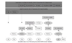 大伙币 Tokenim：掌握加密货
